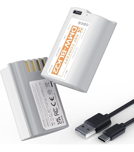 Amazon.com: VINTRONS Replacement Battery for PANASONIC Lumix DMC